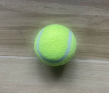 Pet Ball Launcher for Dog Training